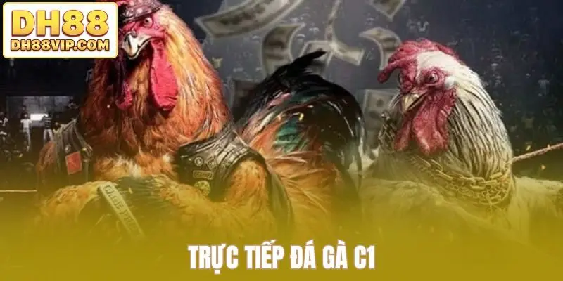 Trực tiếp đá gà C1